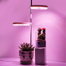 Load image into Gallery viewer, LED Grow Phyto Lamp For Plants With Spike 9 Levels Dimming 3 Levels Timing www.technoviena.com

