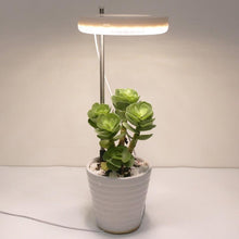 Cargue la imagen en el visor de la galería, LED Grow Phyto Lamp For Plants With Spike 9 Levels Dimming 3 Levels Timing www.technoviena.com
