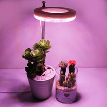 Load image into Gallery viewer, LED Grow Phyto Lamp For Plants With Spike 9 Levels Dimming 3 Levels Timing www.technoviena.com
